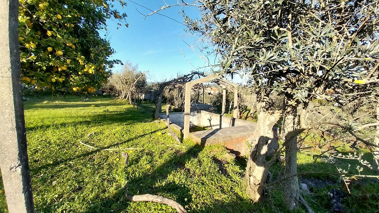 Moradia T6+ à venda em Sertã, Sertã — foto 21