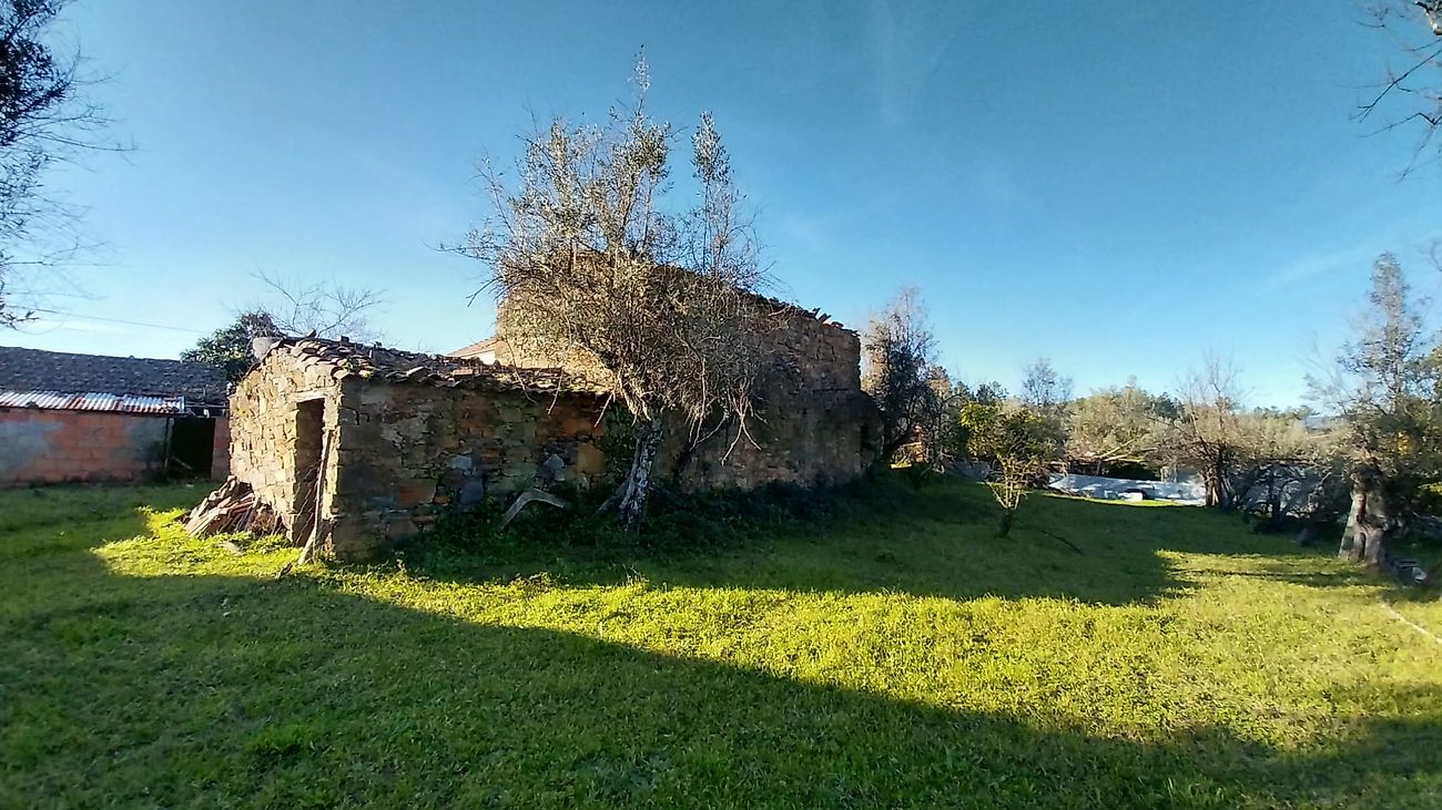 Moradia T6+ à venda em Sertã, Sertã — foto 17