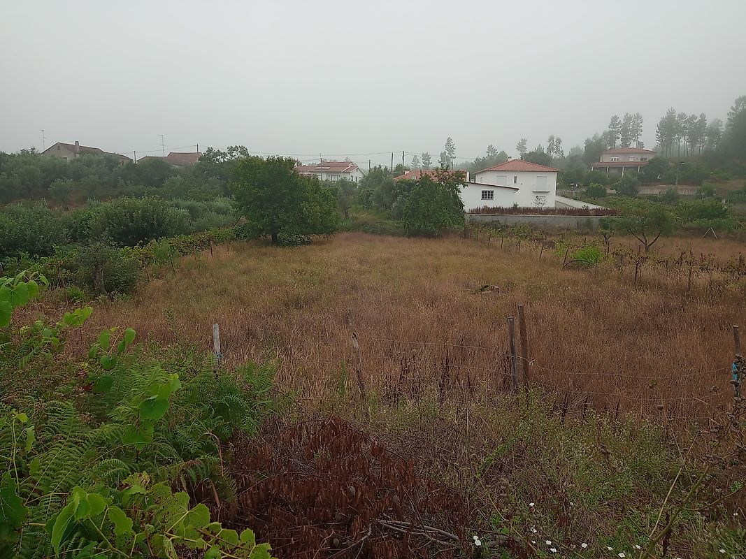 Terreno em Sertã