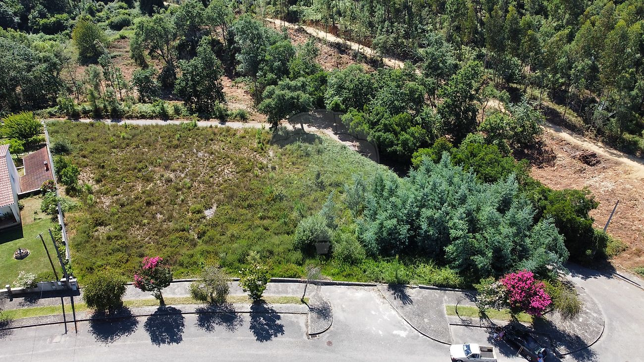 Terreno - Cernache do Bonjardim, Nesperal e Palhais, Sertã, Castelo Branco