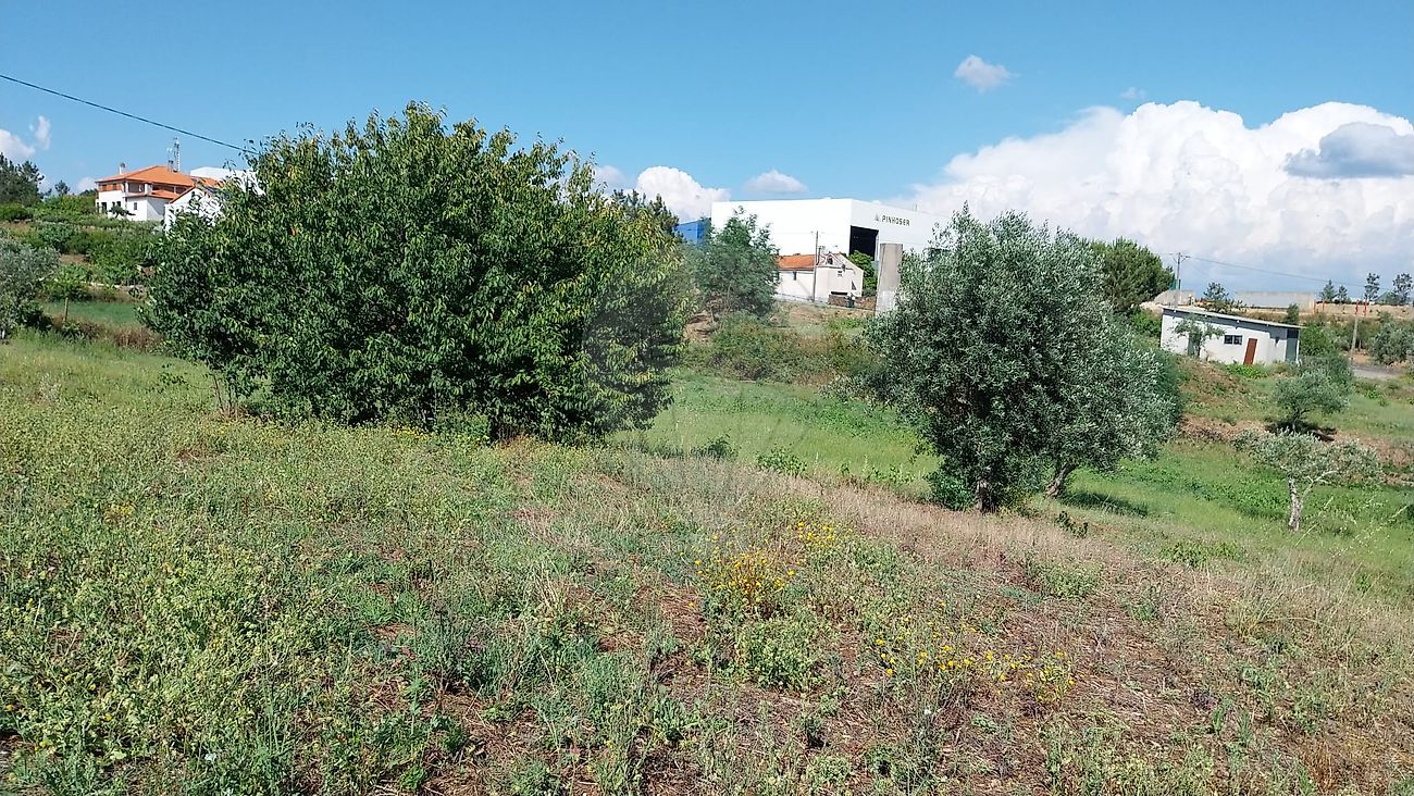 Terreno  para venda