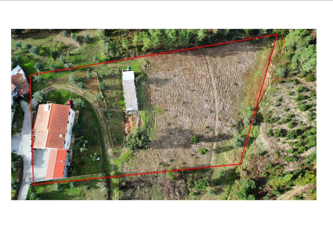 listing 125671021-94 picture-0