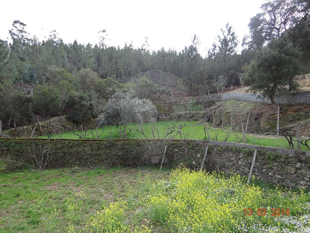 Terreno à venda em Oleiros