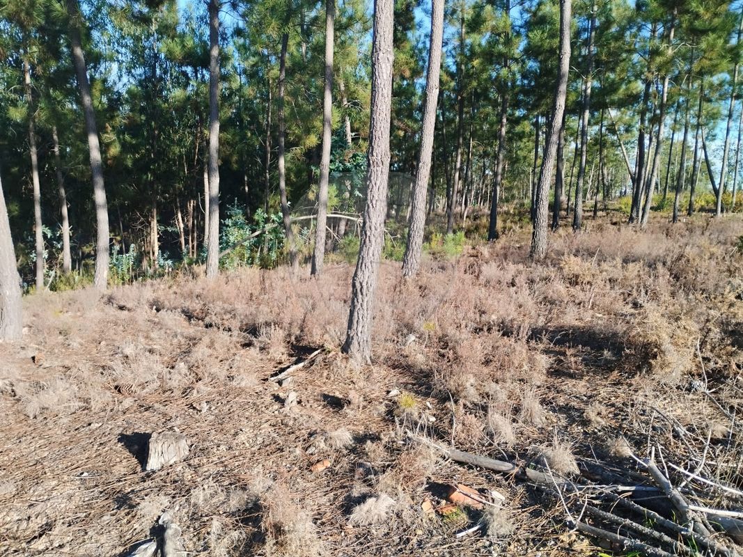 Terreno para venda