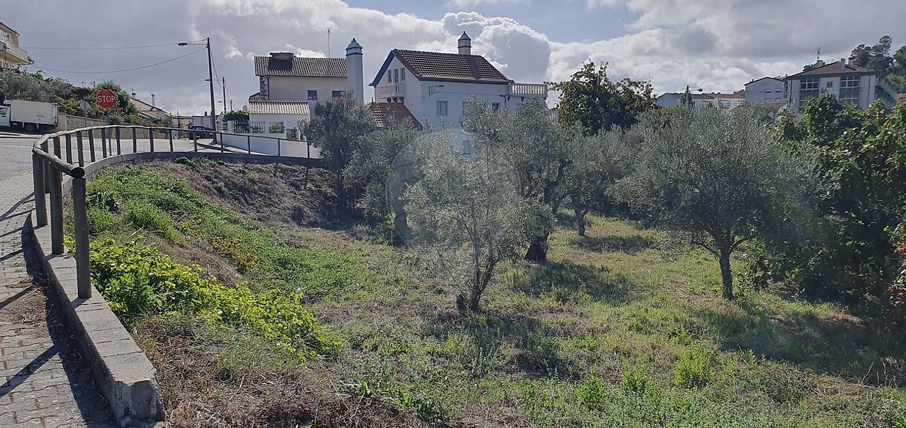 Terreno à venda em Proença-a-Nova