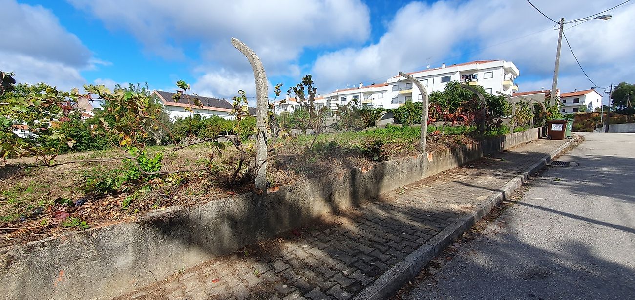 Terreno  à venda em Proença-a-Nova
