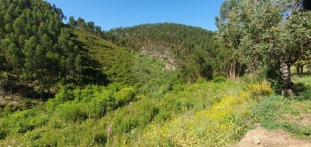 Terreno para venda