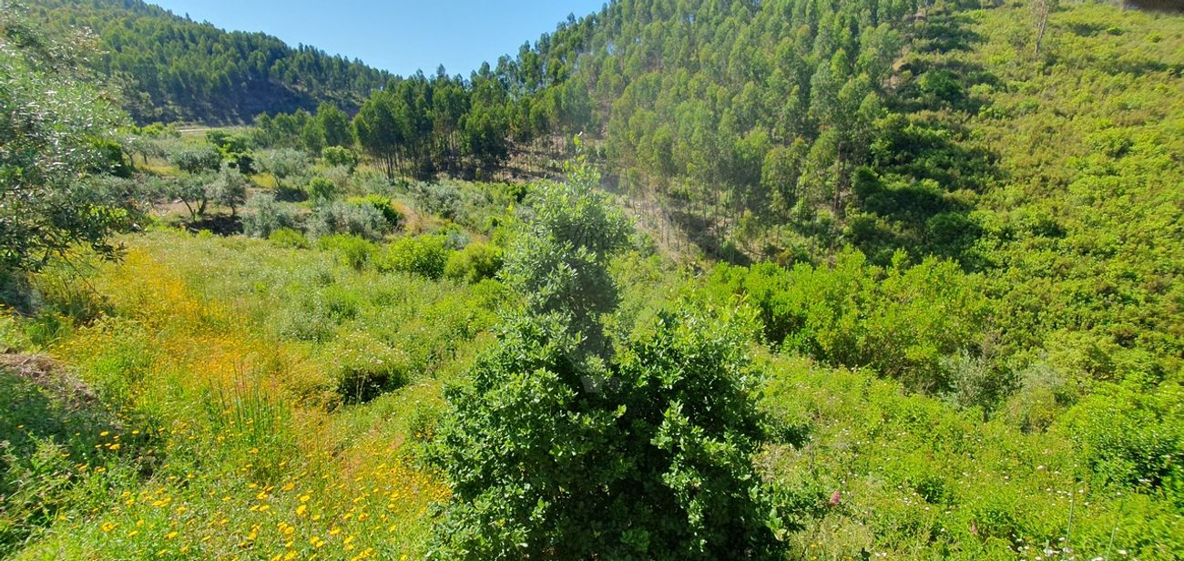 Terreno para venda