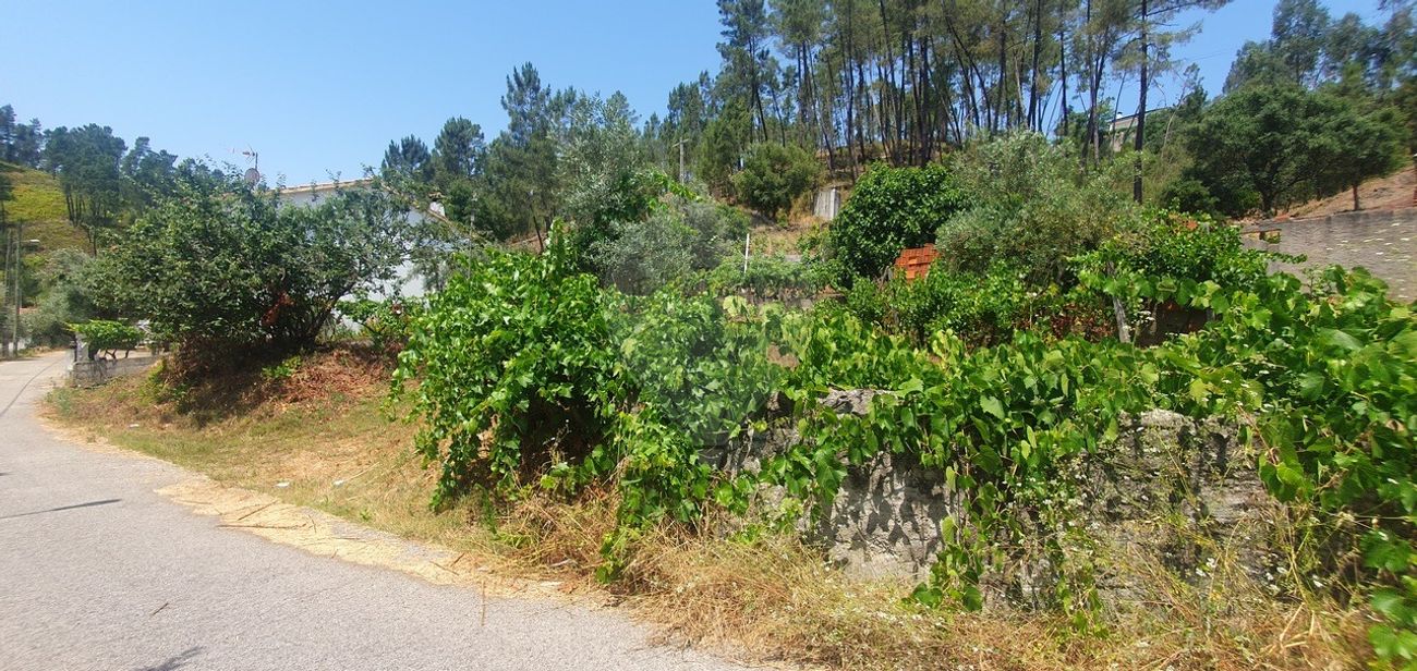 Terreno  para venda