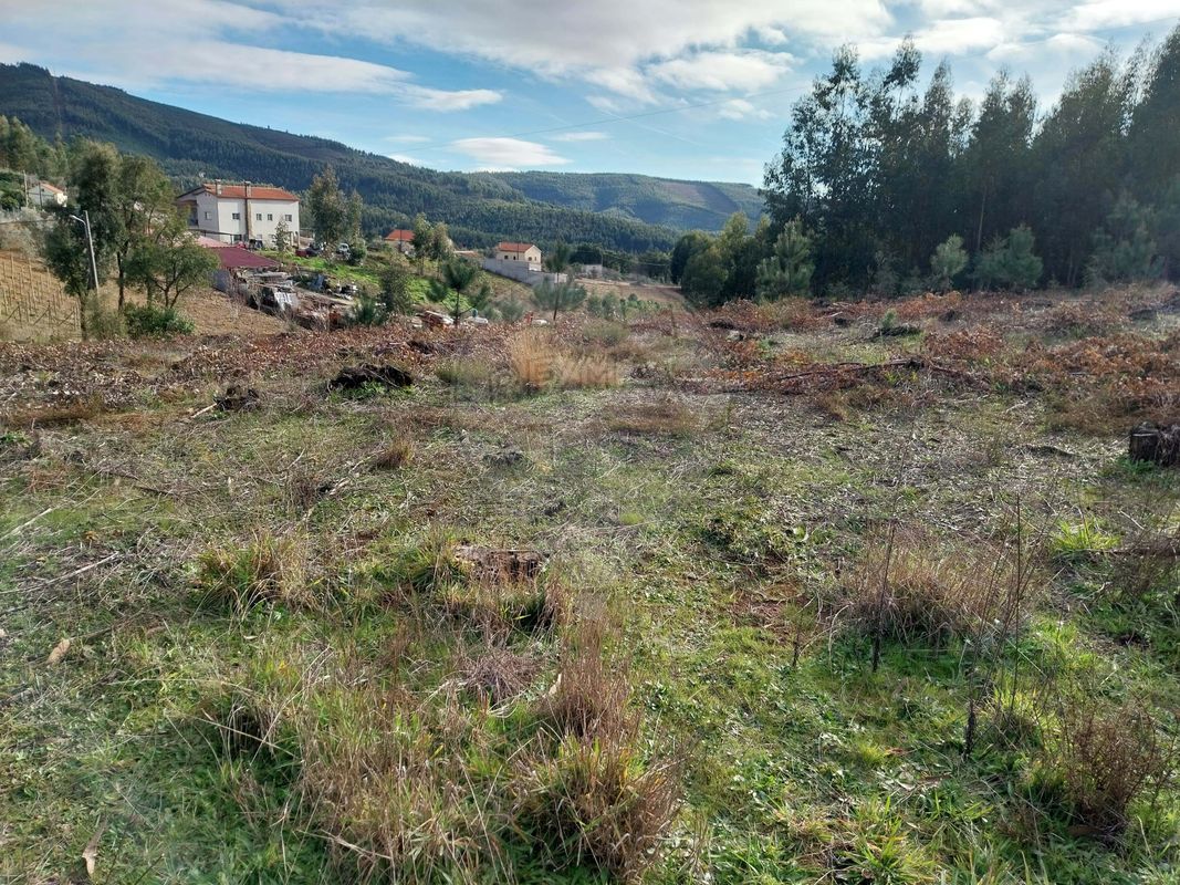 Terreno  para venda