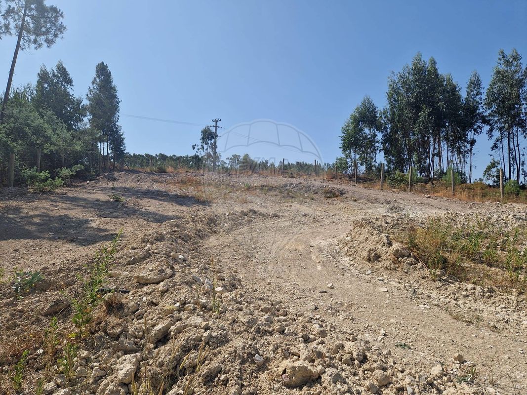 Terreno  para venda