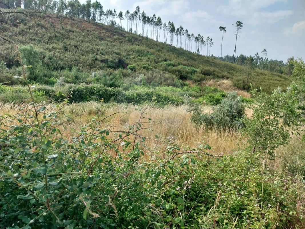 Terreno  para venda