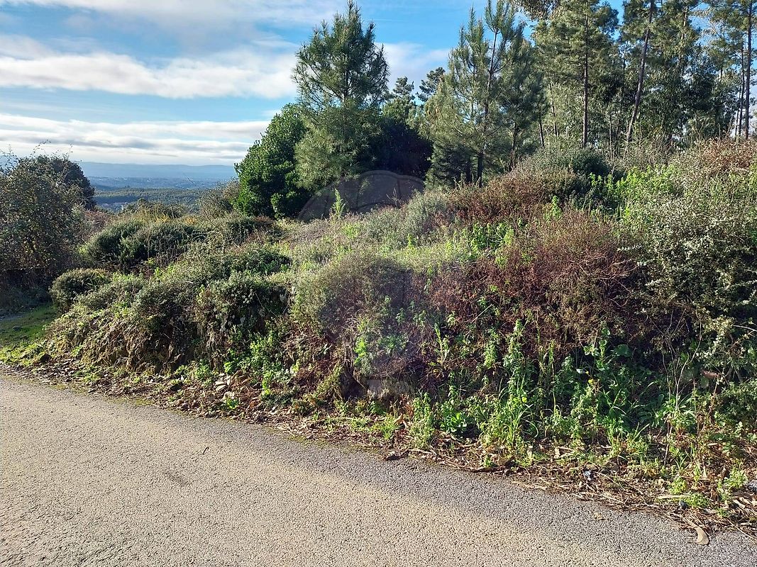 Terreno  para venda