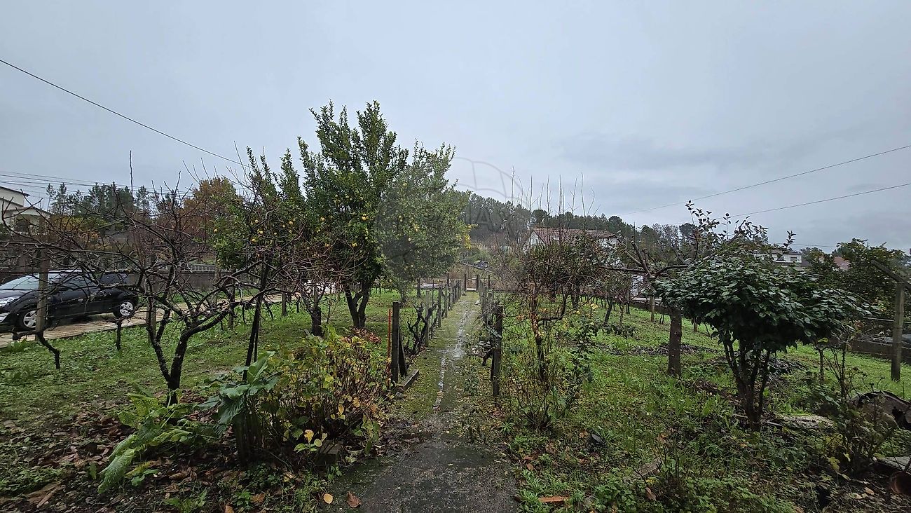 Moradia T4 à venda em Cabeçudo, Sertã — foto 34
