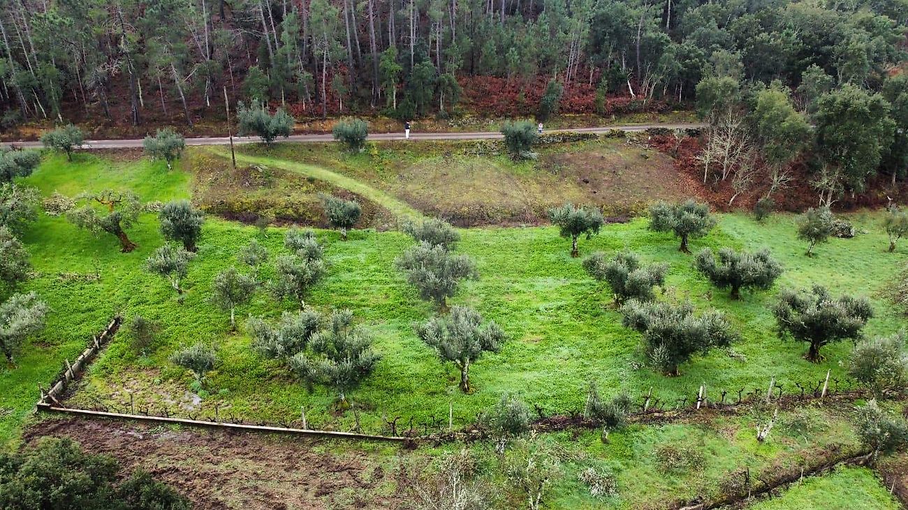 Terreno à venda em Sertã