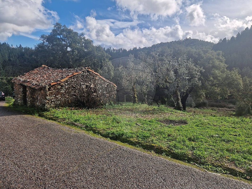 Terreno - Fundada, Vila de Rei, Castelo Branco
