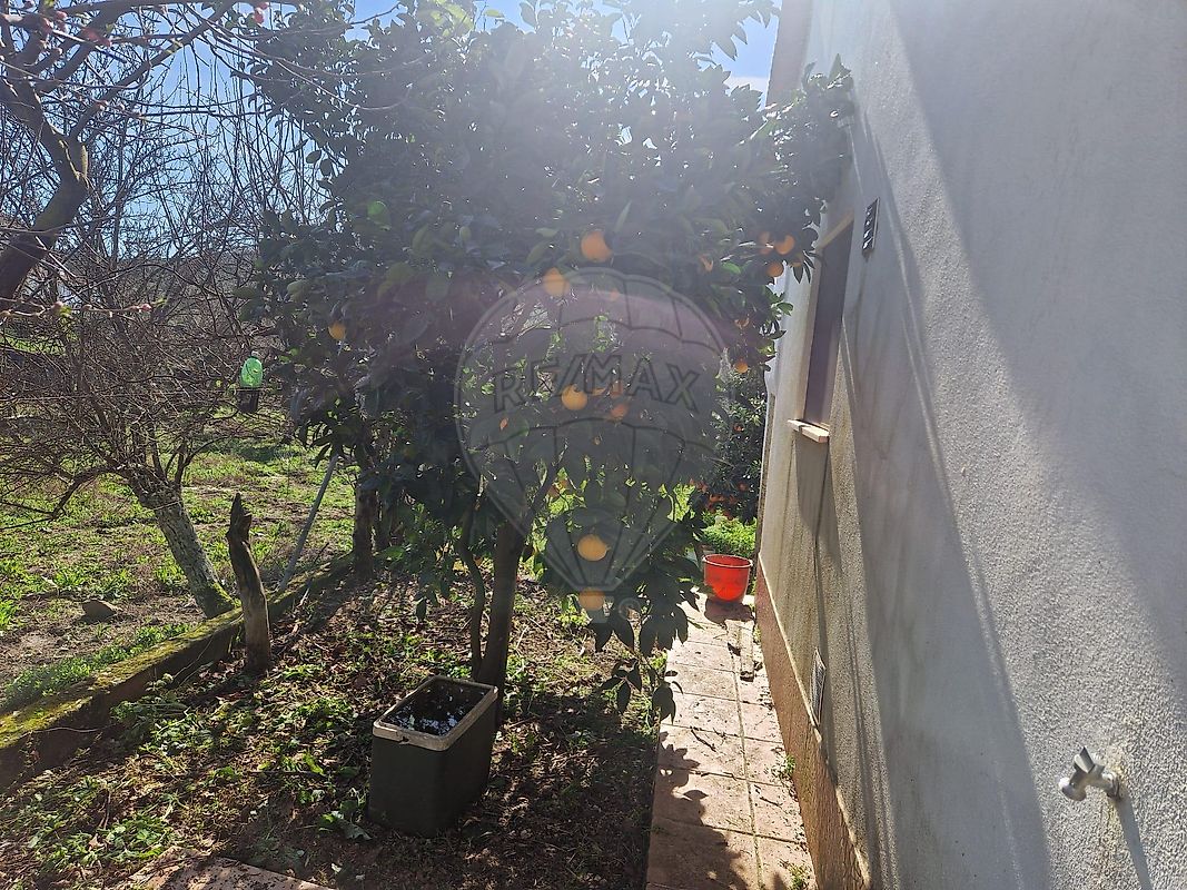 Moradia T2 à venda em Fundada, Vila de Rei — foto 38