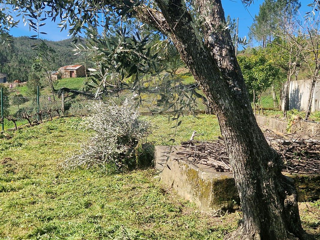 Moradia T2 à venda em Fundada, Vila de Rei — foto 40