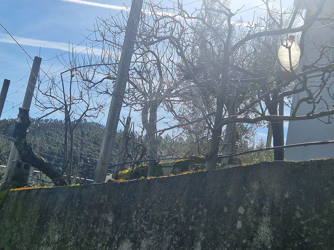 Moradia T2 à venda em Fundada, Vila de Rei — foto 37