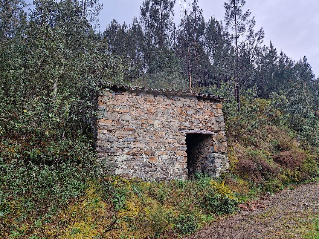 Terreno - Fundada, Vila de Rei, Castelo Branco