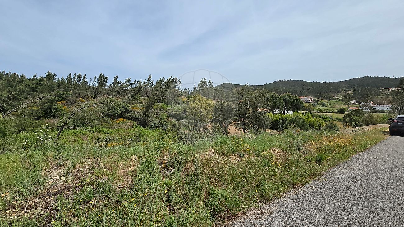 Terreno - Fundada, Vila de Rei, Castelo Branco