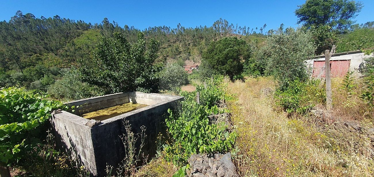 Terreno - Sertã, Sertã, Castelo Branco