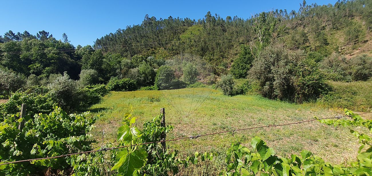 Terreno - Sertã, Sertã, Castelo Branco