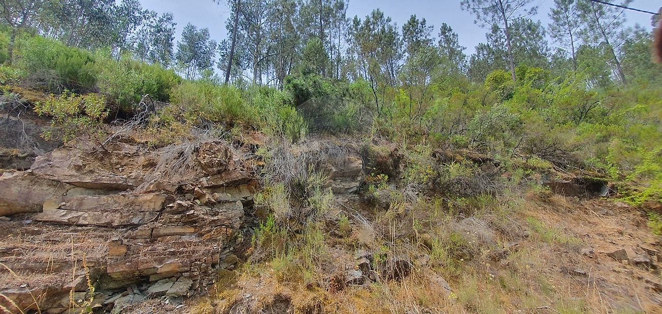 Terreno - Sertã, Sertã, Castelo Branco