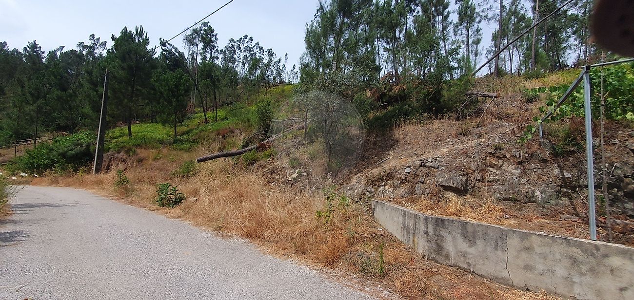 Terreno - Sertã, Sertã, Castelo Branco