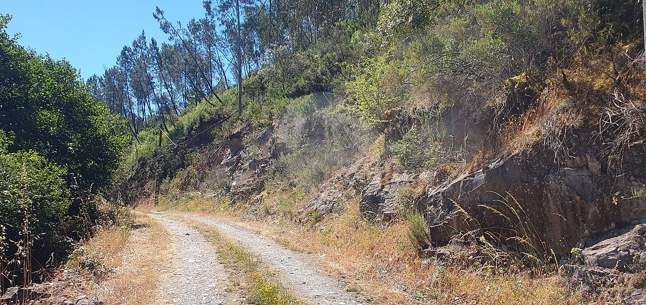 Terreno - Sertã, Sertã, Castelo Branco