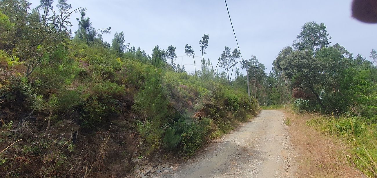 Apartamento à venda em Sertã