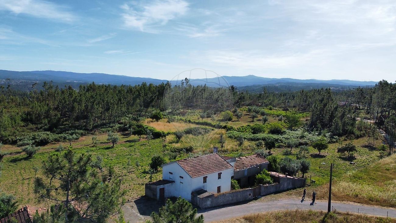 Moradia - Cernache do Bonjardim, Nesperal e Palhais, Sertã, Castelo Branco