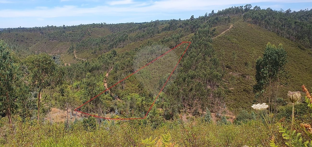 Terreno - Sertã, Sertã, Castelo Branco