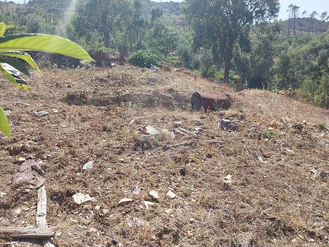 Moradia T3 à venda em Montes da Senhora, Proença-a-Nova — foto 15