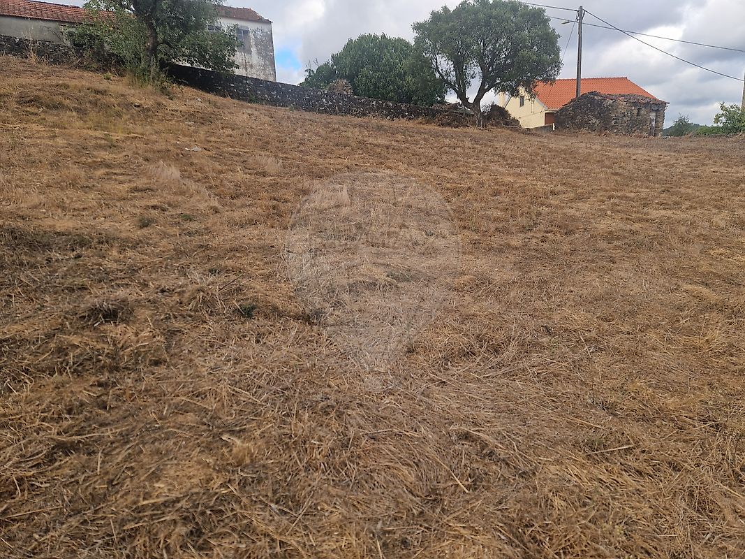 Terreno - Fundada, Vila de Rei, Castelo Branco