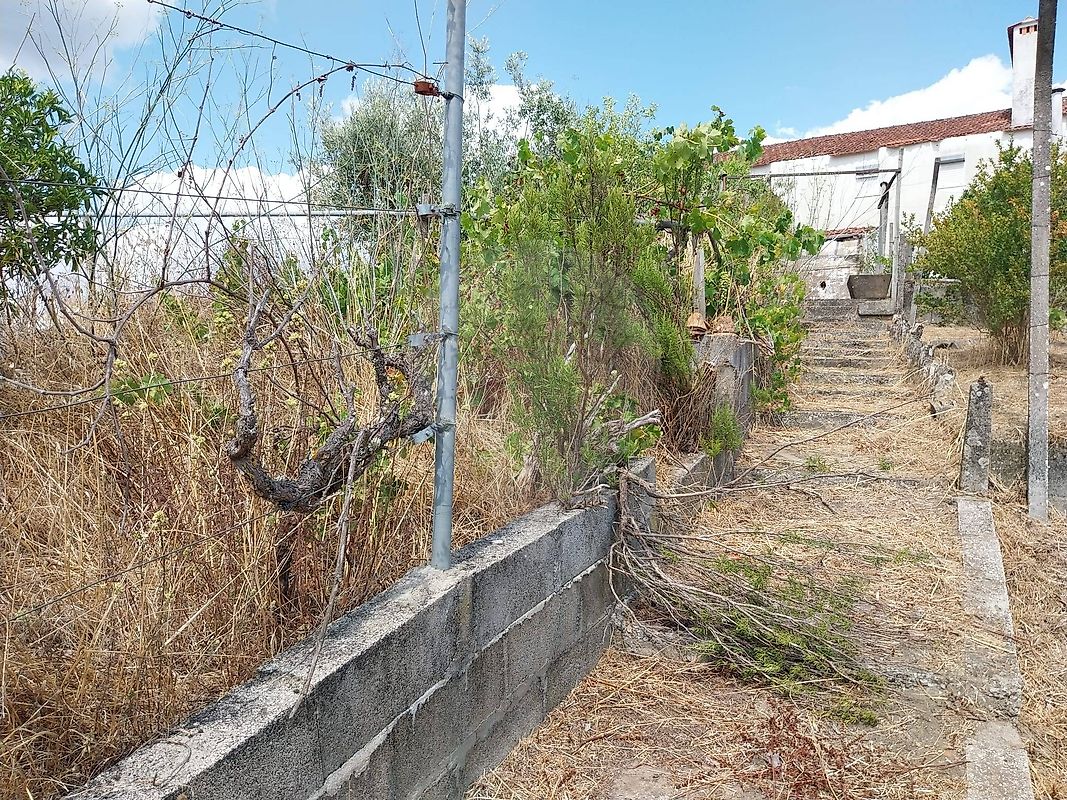 Moradia T3 à venda em Fundada, Vila de Rei — foto 9