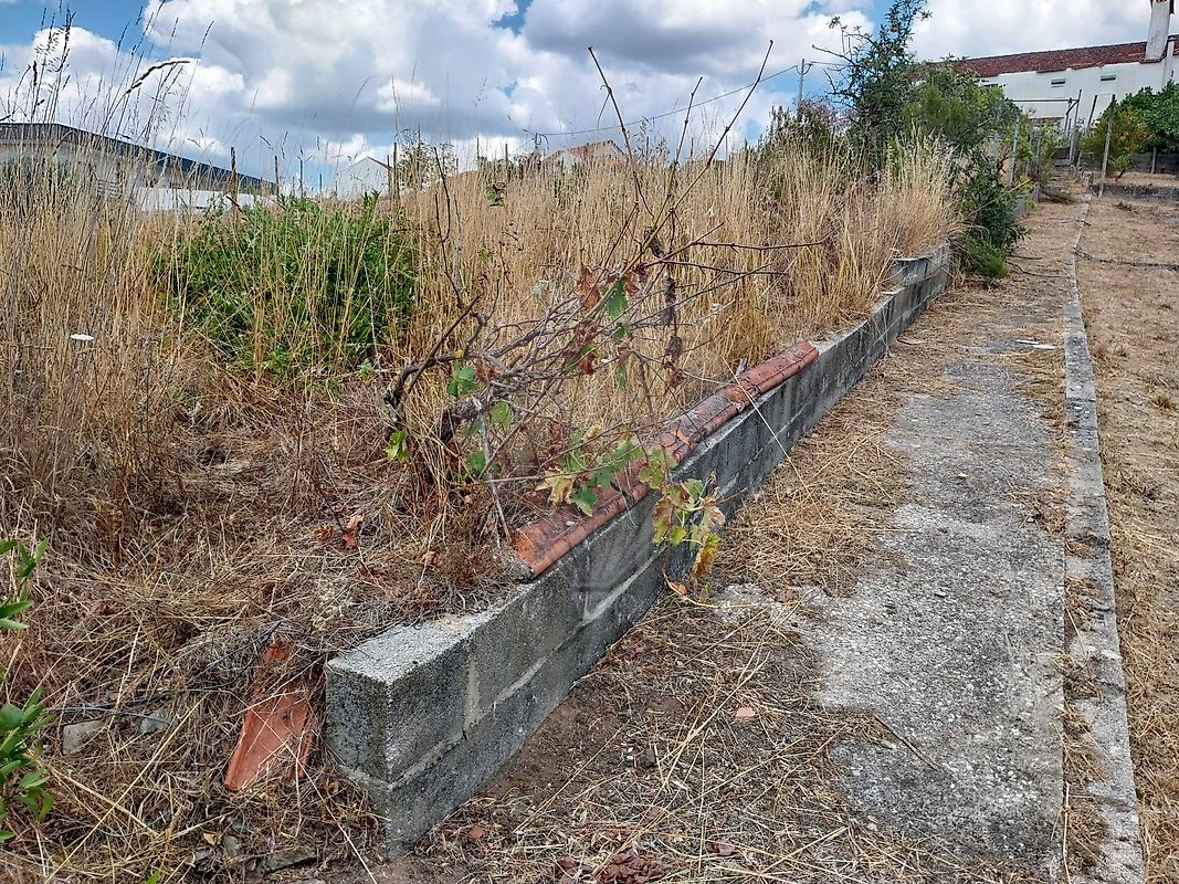 Moradia T3 à venda em Fundada, Vila de Rei — foto 8