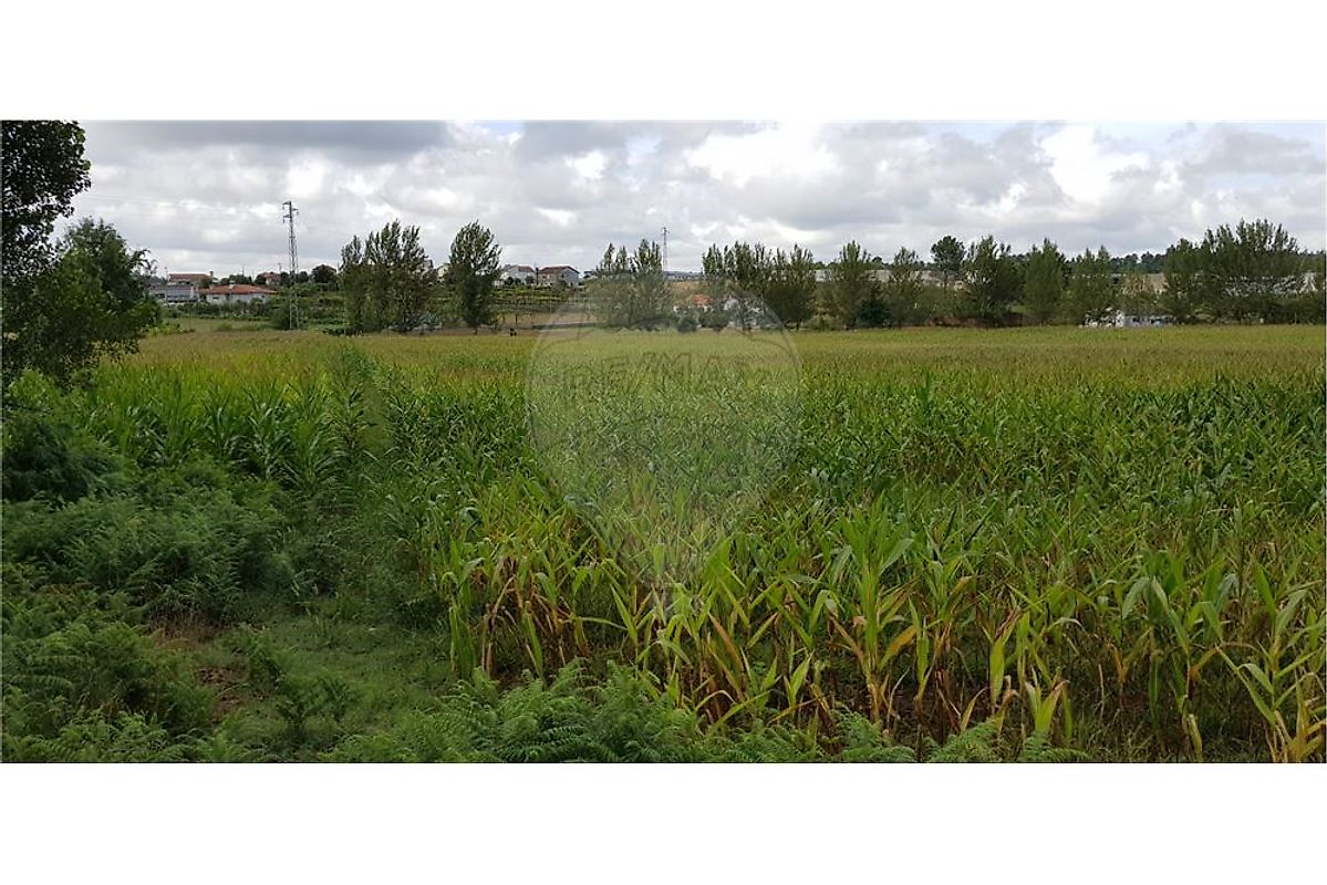 Terreno T0 para venda
