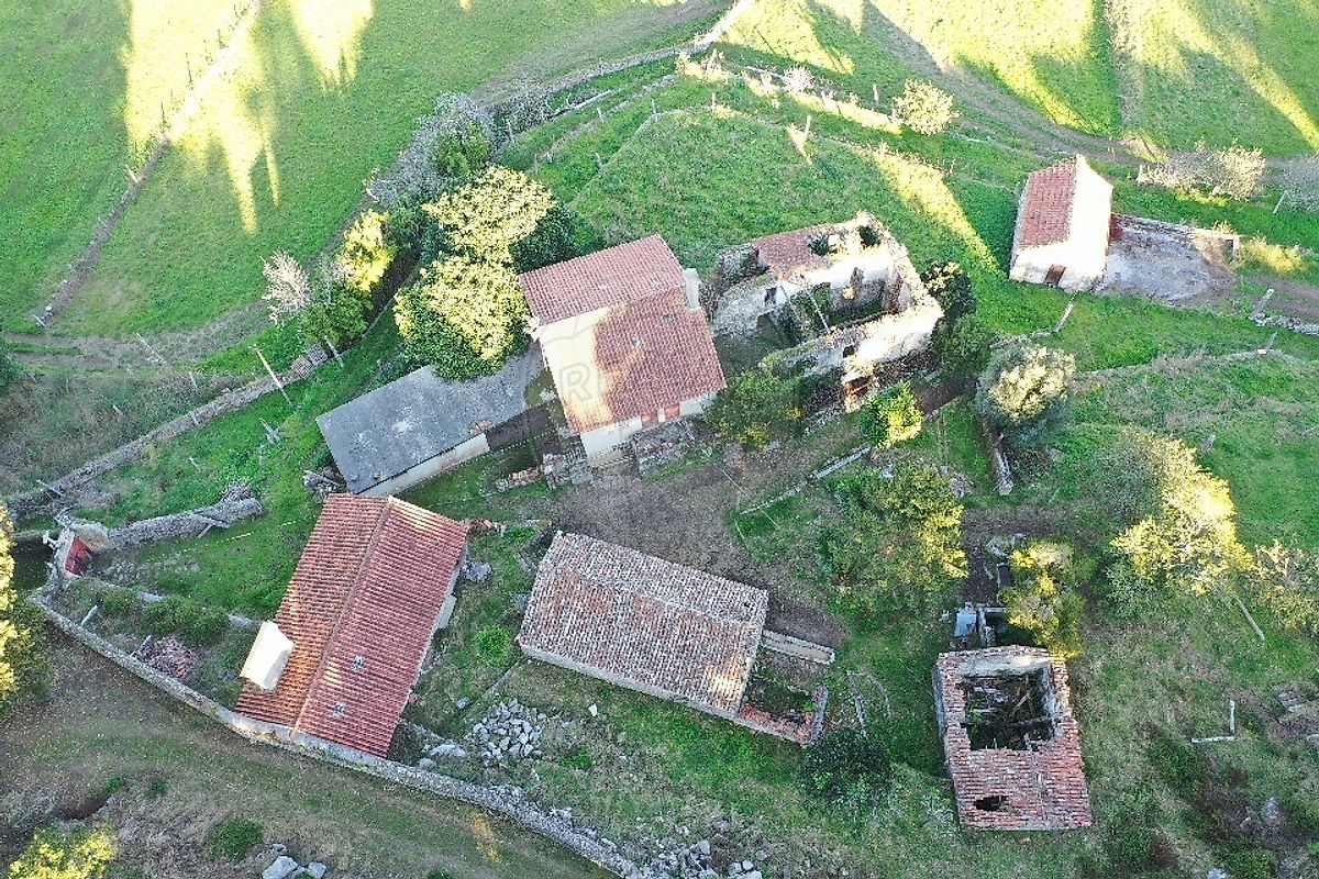 listing-picture-0