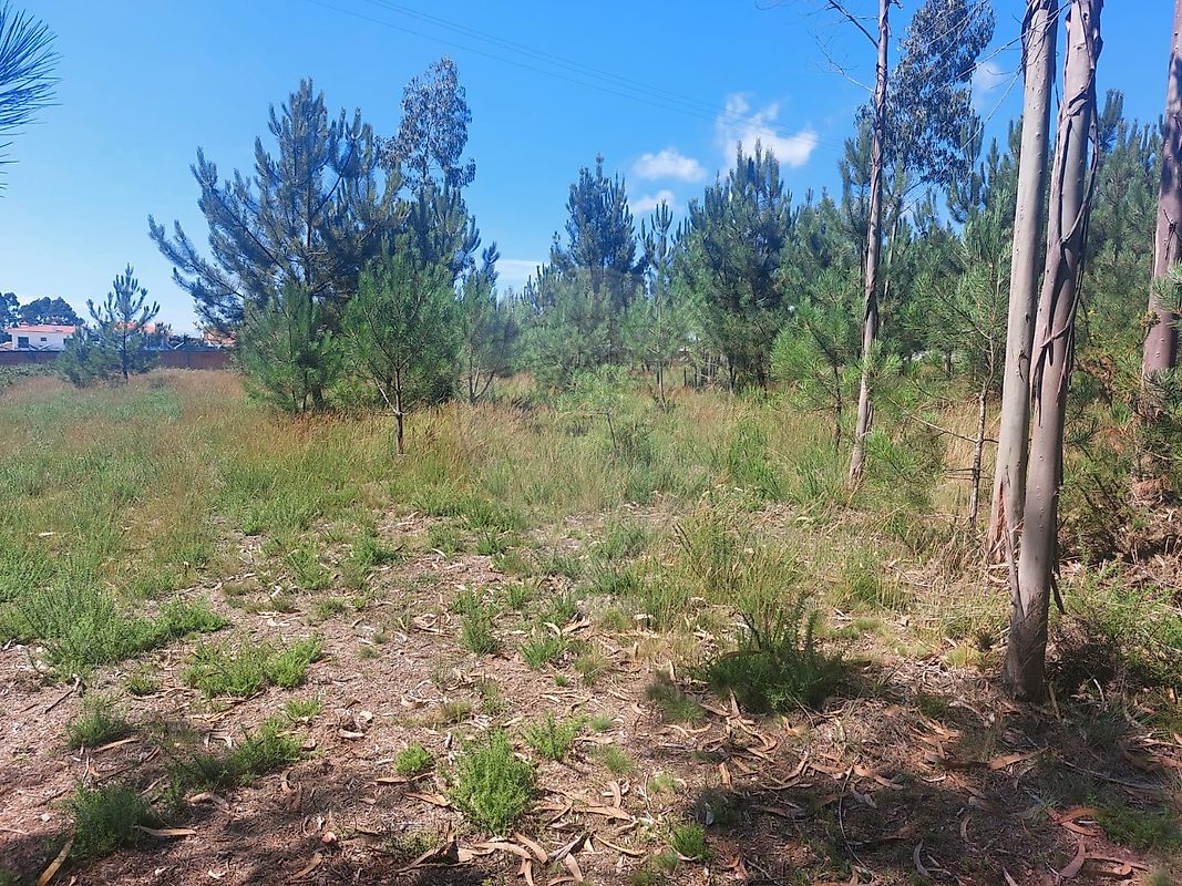 Terreno para venda