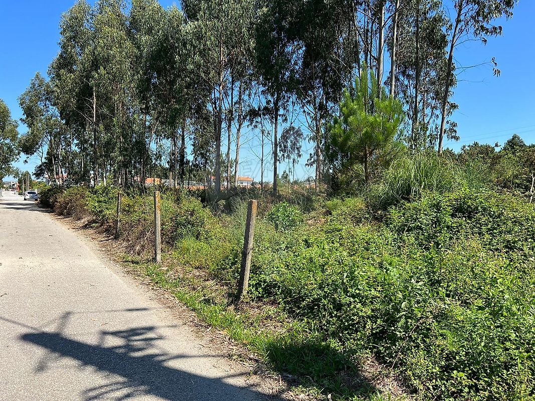 Terreno  para venda