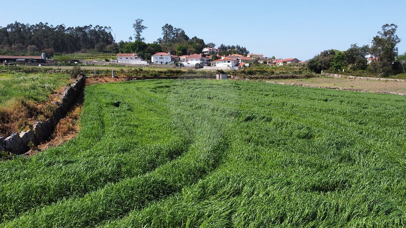Terreno à venda em Barcelos