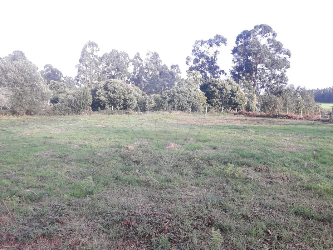 Terreno  para venda