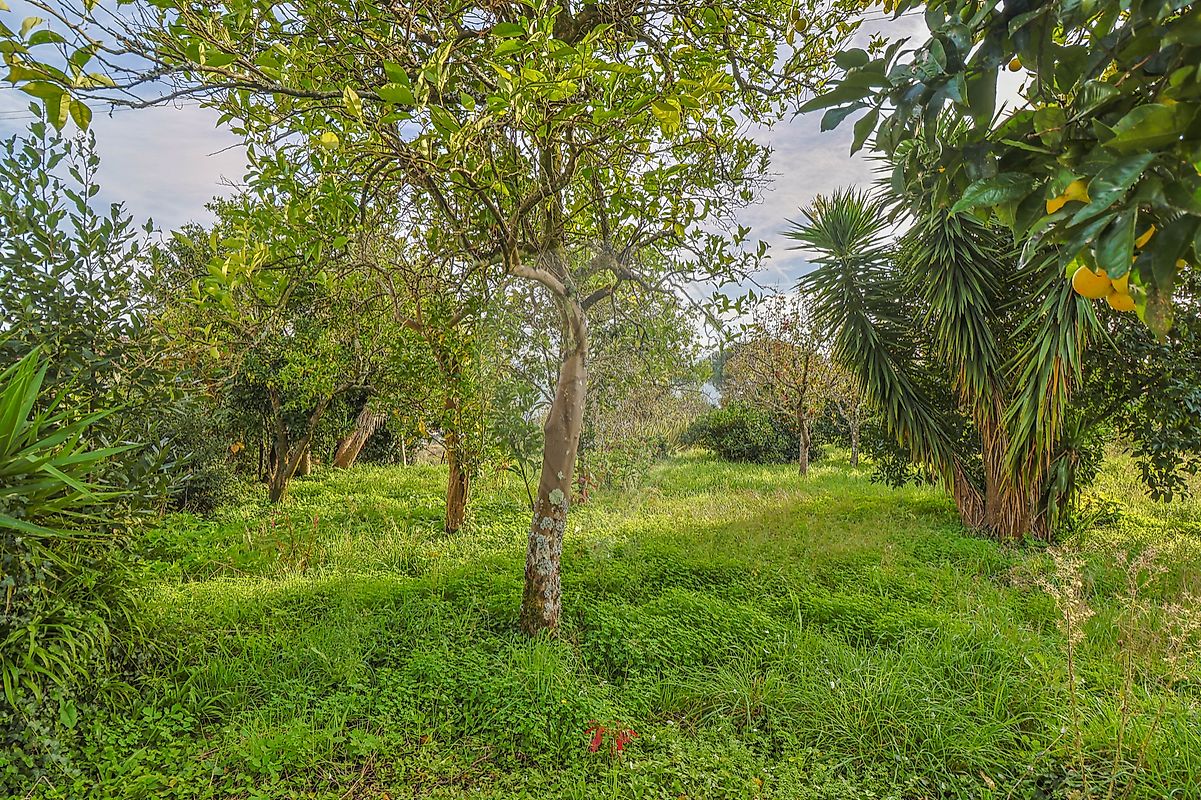 listing-picture-0