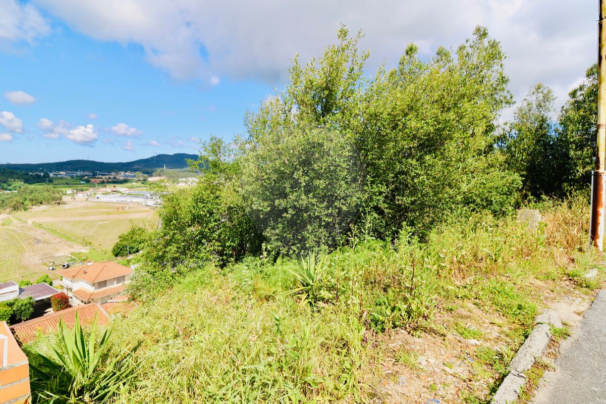 listing 125681112-5 picture-0