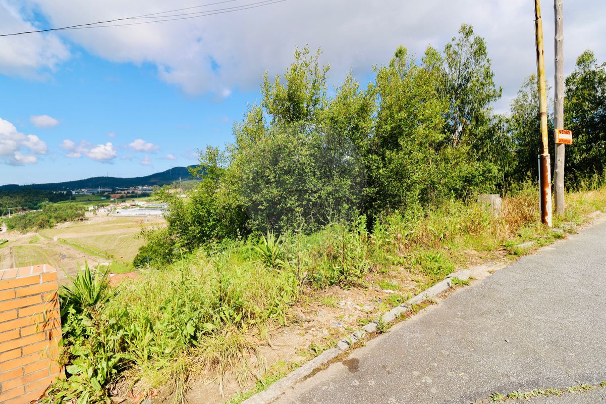 listing 125681112-5 picture-0