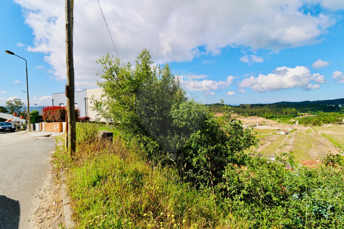 listing 125681112-5 picture-0