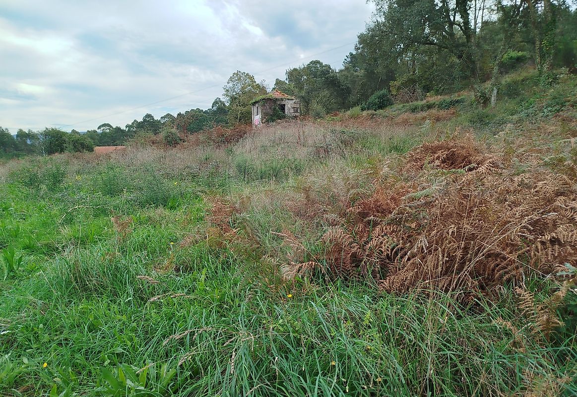 Terreno para venda