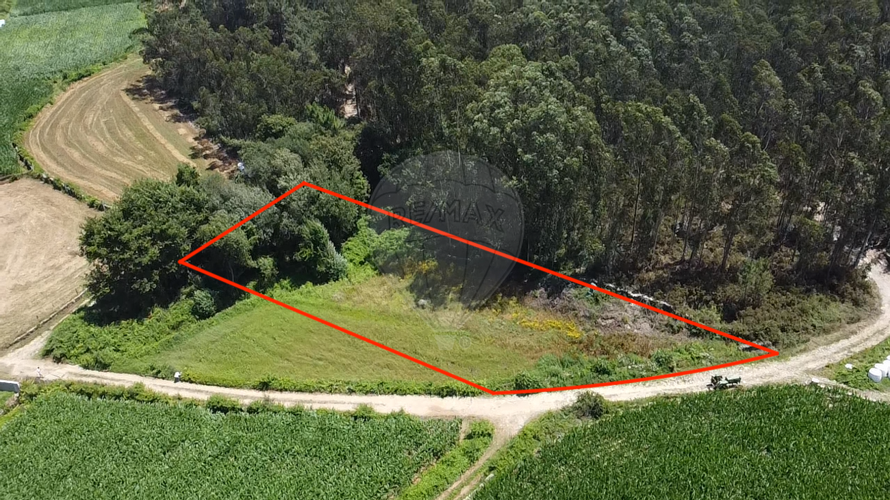 Terreno  para venda