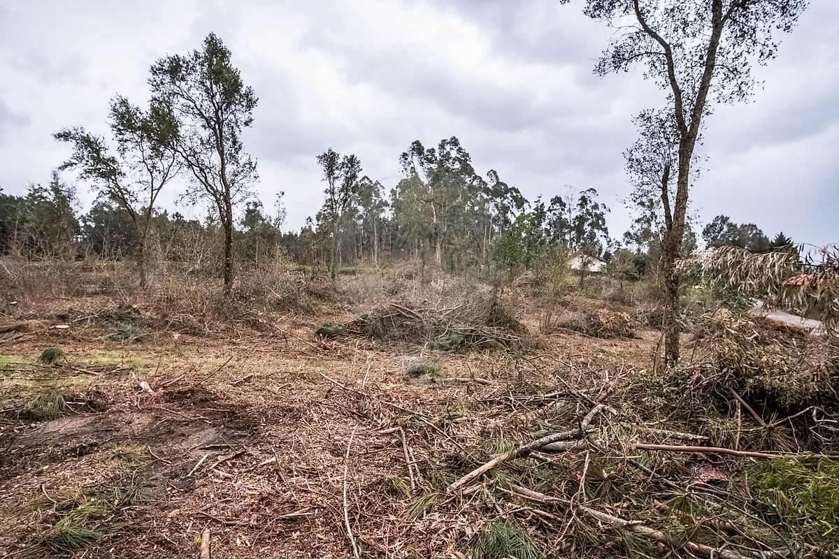 Terreno para venda